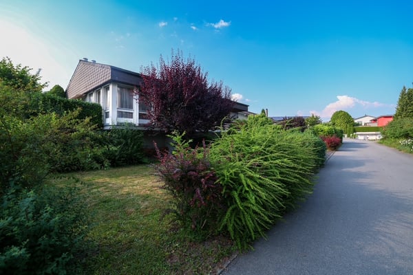 Renovationsbedürftiges Einfamilienhaus mit Potenzial 3