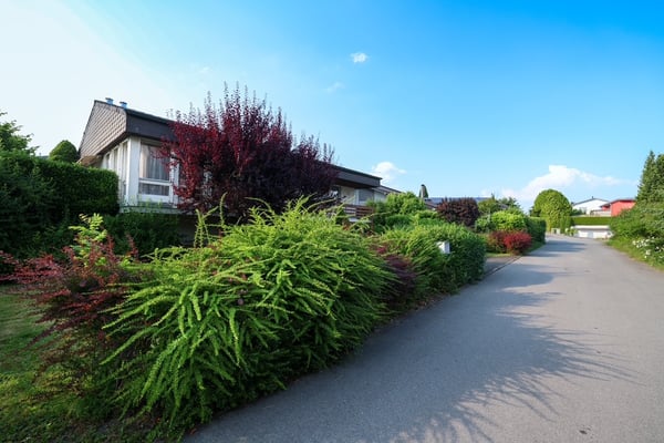 Bauparzelle für den Neubau eines Einfamilienhauses 1