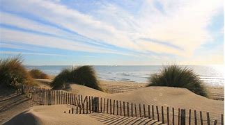 Southern France: A hotel gem in the natural paradise of the Camargue for sale 7