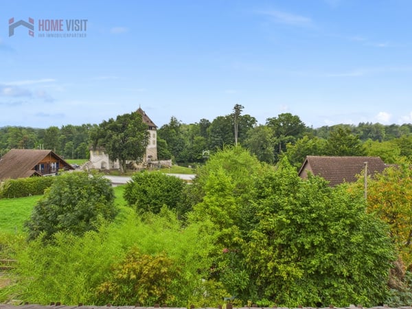 Grosszügiges EFH mit Gartenparzelle & Weitsicht - nahe der Aare 6