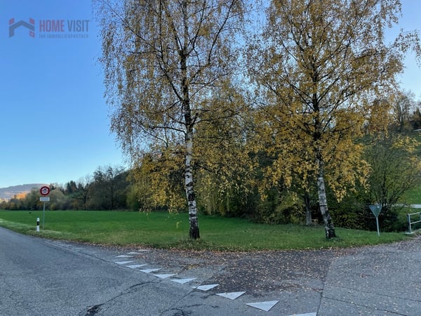 Rares Entwicklungsgrundstück mit baureifem MFH-Projekt (AG) 5