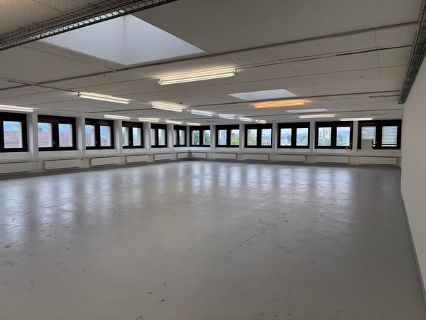 810m2 Moderne Gewerbefläche mit Laderampe 10