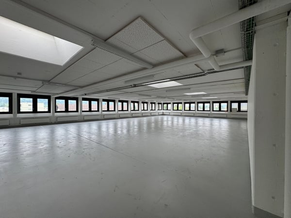 810m2 Moderne Gewerbefläche mit Laderampe 6