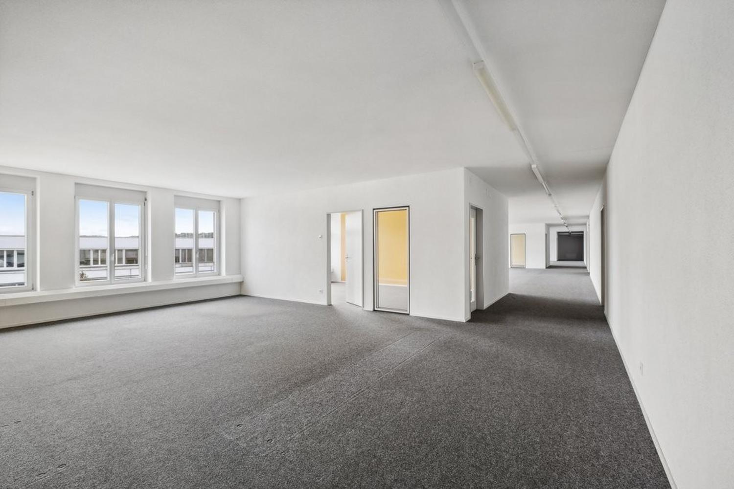 Empty room, carpeted floor, three large windows, two doors on the right, hallway with a wall on the right