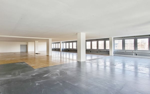 Gelegenheit - Attraktive Gewerbefläche in der Binz! 7