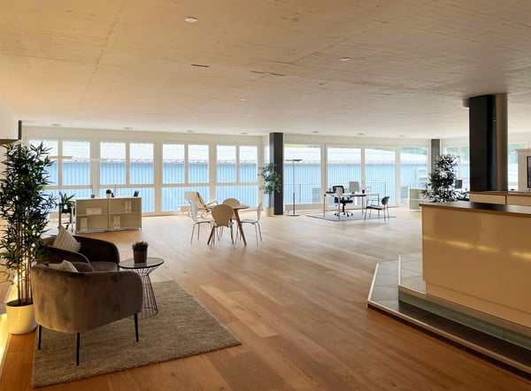 Aperçu de l'image de l'immobilier