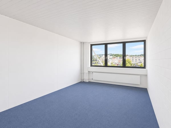 Ganzer Gebäudeteil und ca. 1'500 m² Aussenfläche verfügbar! 13