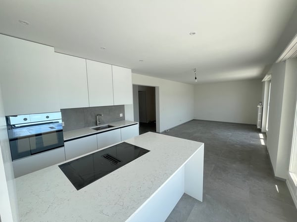 Erstbezug nach Totalsanierung – moderne 2.5-Zimmer-Attikawohnung mit 2 grossen Terrassen in Olten 2