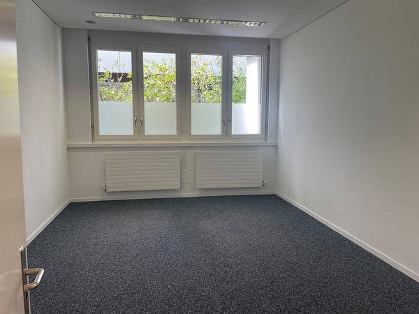 Gewerbefläche zur Miete an der Fanghöfli 6 in Luzern 1