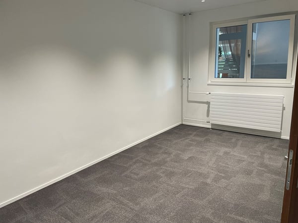 Gewerbefläche zur Miete an der Fanghöfli 6 in Luzern 2
