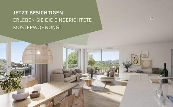 4.5-Zi-Wohnung Murhubel Triengen