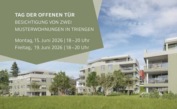 4.5-Zi-Wohnung Murhubel Triengen