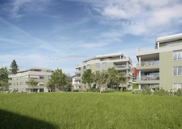 1.5-Zi-Gartenwohnung Murhubel Triengen 2