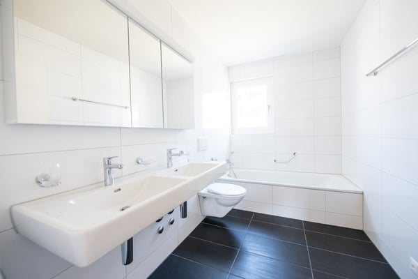 Grosszügige und helle 1.5 Zimmer-Wohnung 3