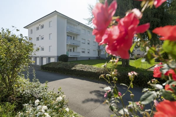 Mein neues Zuhause im schönen Belp! 8