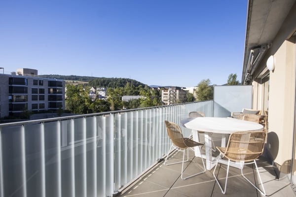 Traumhafte Attikawohnung mit eigenem Waschturm 8