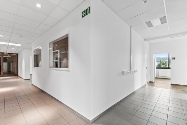 Grosszügige Bürofläche 6