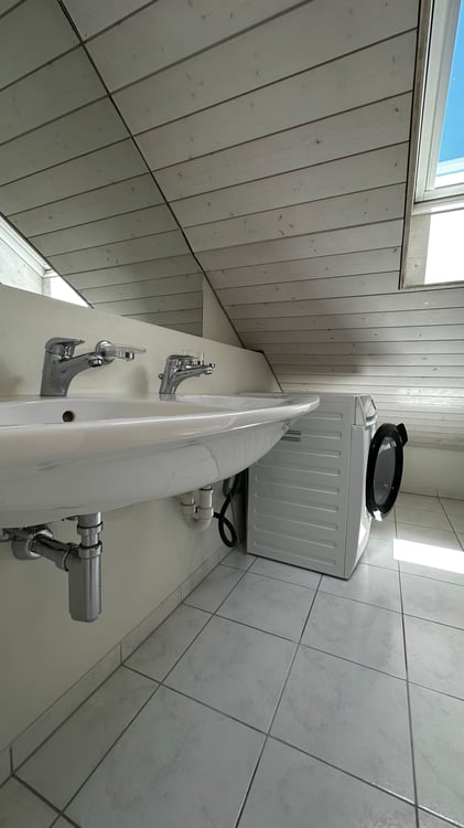 2.5-Zimmer-Dachwohnung im Loftstil zu vermieten 9