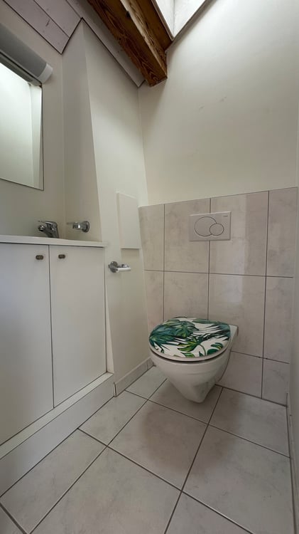 2.5-Zimmer-Dachwohnung im Loftstil zu vermieten 12