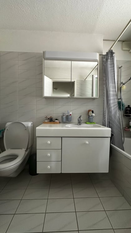 3.5-Zimmer-Wohnung in Otelfingen zu vermieten 5
