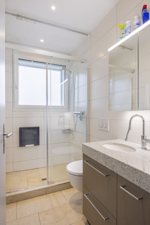 1.5-Zi. Attikawohnung mit grosser Terrasse 8