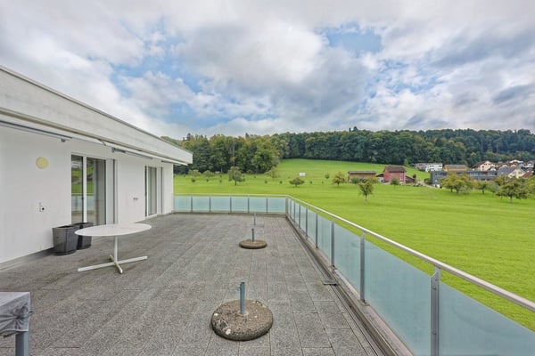 1.5-Zi. Attikawohnung mit grosser Terrasse 9