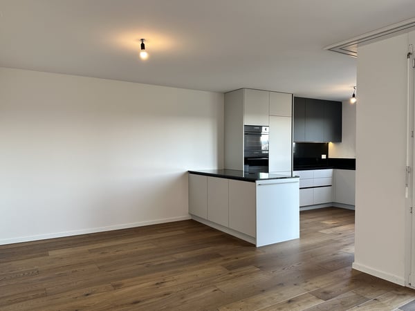 4.5-Zimmer Attikawohnungen mit grosser Terrasse, renoviert mit Lift 9