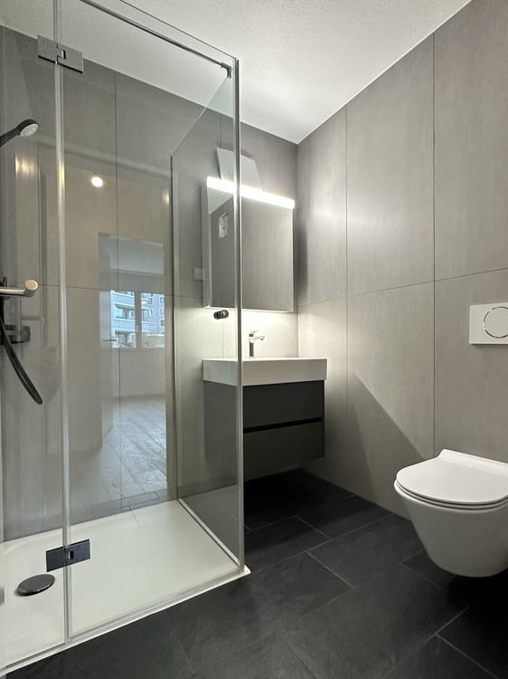 4.5-Zimmer Attikawohnungen mit grosser Terrasse, renoviert mit Lift 13