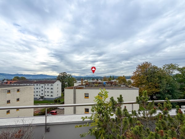 4.5-Zimmer Attikawohnung mit Blick auf Weiher 2