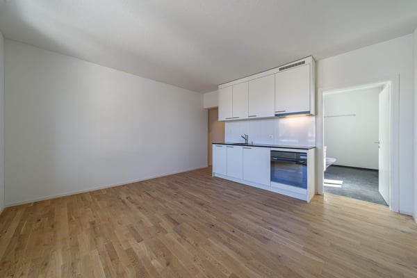 1.5 Zimmerwohnung in St. Gallen 4