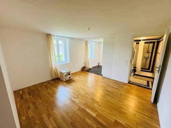 1.5 Zimmerwohnung in St. Gallen 2
