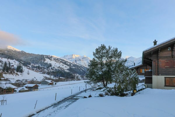 Gemütliche heimelige 1.5- Zimmerwohnung im Erdgeschoss 2