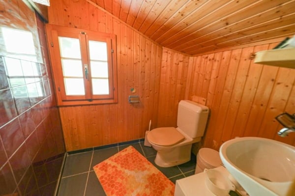 DM 137 4.5 Zimmer DG Wohnung 7