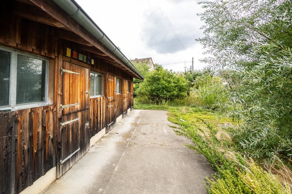 Charmantes Riegelhaus mit Stall und grosszügigem Umschwung 14