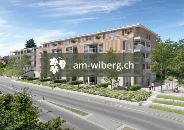 Sonnige Attikawohnung mit traumhafter Aussicht 1