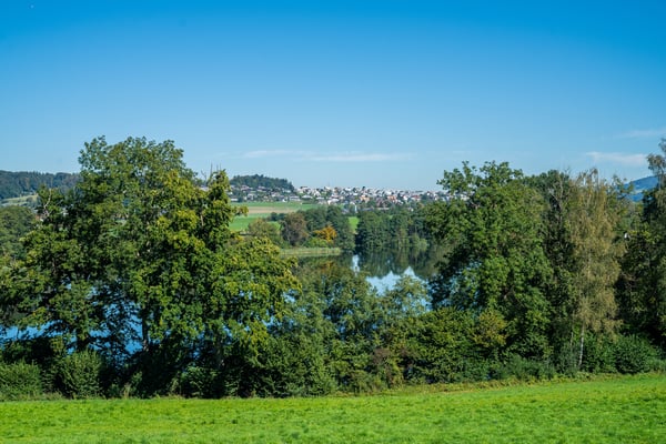 Platz für die ganze Familie - Reiheneinfamilienhaus 