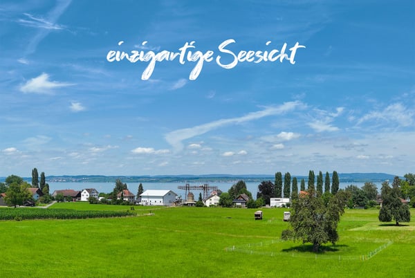 Exklusive Attikawohnung mit grosser Terrasse und traumhaftem Seeblick 6