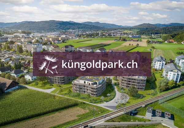 Neubauwohnungen im schönen Küngoldingen! 1