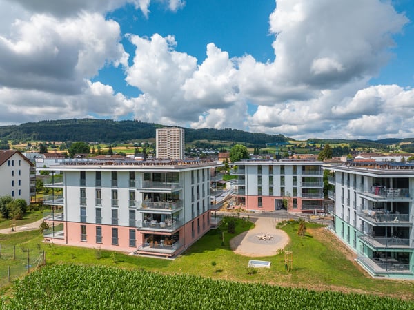 2.5 Zimmerwohnung in Reinach AG 10