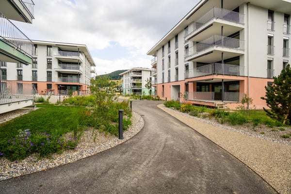 2.5 Zimmerwohnung in Reinach AG 11