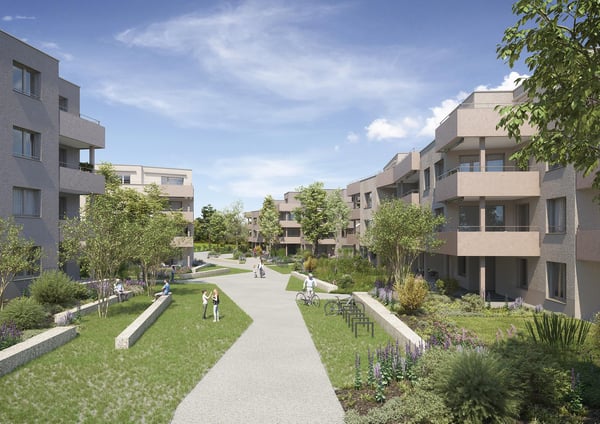 2.5 Zimmerwohnung in Othmarsingen
