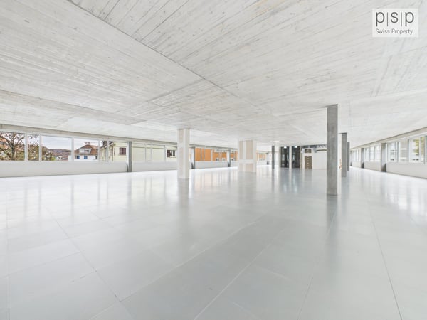 «B2Binz» Gewerbeflächen im Trendquartier Zürich-Binz 4