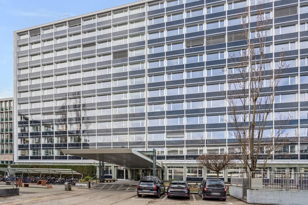 Opportunité exceptionnelle: 4'734 m2 de surfaces aménagées 1