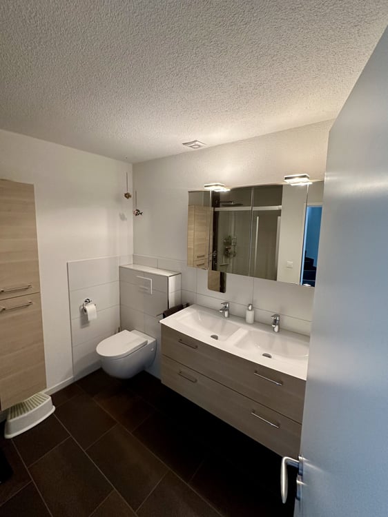 Reihenmittelhaus mit Weitblick - stilvolles Raumwunder 4