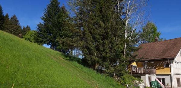 Vorschaubild der Immobilie