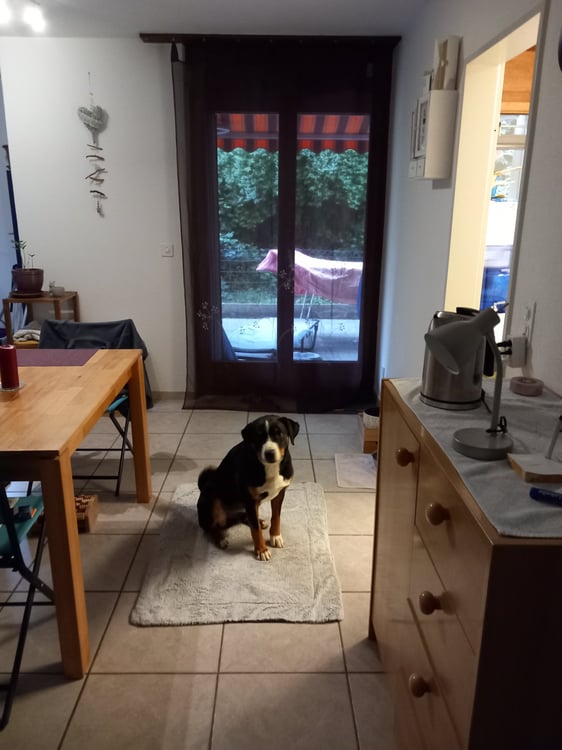 Mitbewohnerin für längerfristige Wohngemeinschaft 2