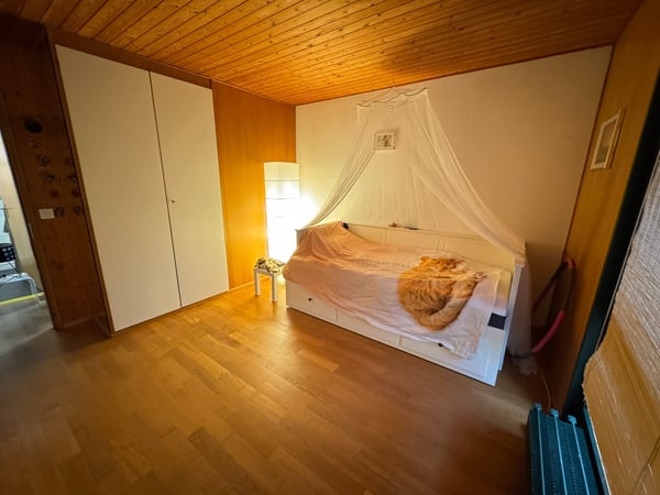 Nachmieter gesucht für heimeliges EFH mit grossem Garten 3