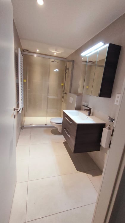 Grône, à louer appartement 1.5 pièces neuf, cc, terrasse 5