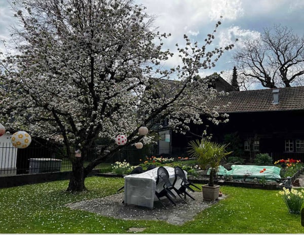 Vorschaubild der Immobilie