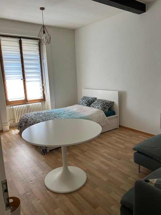 Spacieux 1 pièces à louer - Gare des Eaux-Vives (Genève) 1